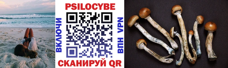 мориарти официальный сайт купить Карабаново Псилоцибиновые грибы Magic Shrooms