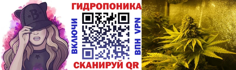 купить  цена  это какой сайт  Бошки марихуана LSD WEED  Карабаново 